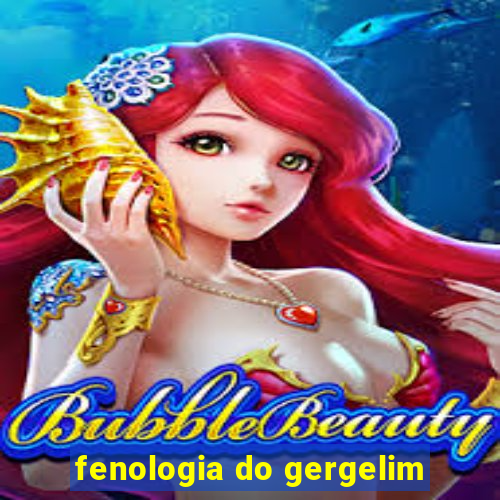 fenologia do gergelim